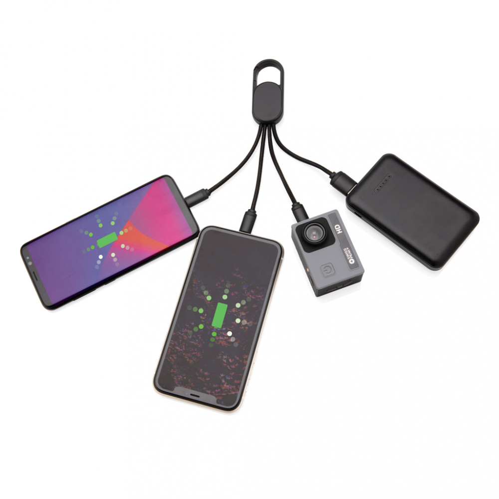 4-in-1 Cable