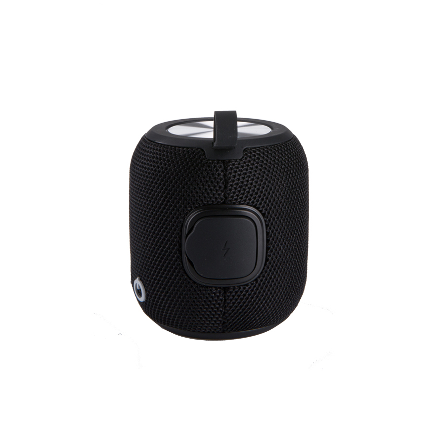 BT0190 Speaker