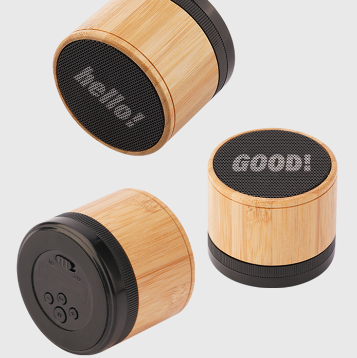 BT0019W Speaker