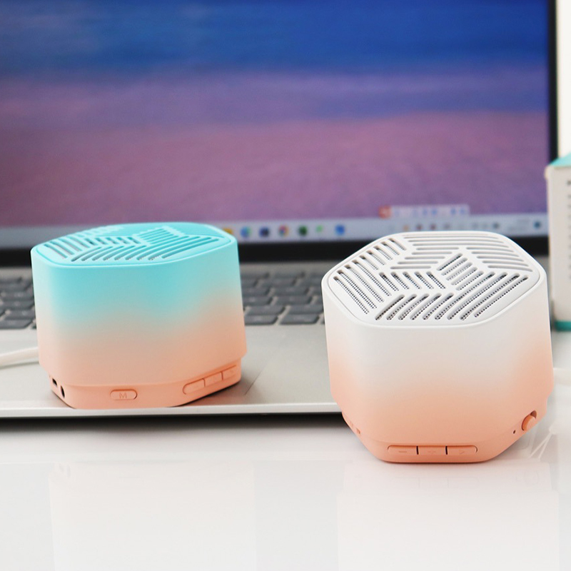Wheat Straw Speaker
