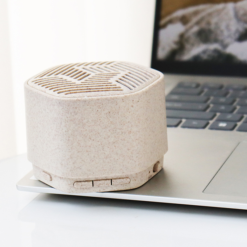 Wheat Straw Speaker