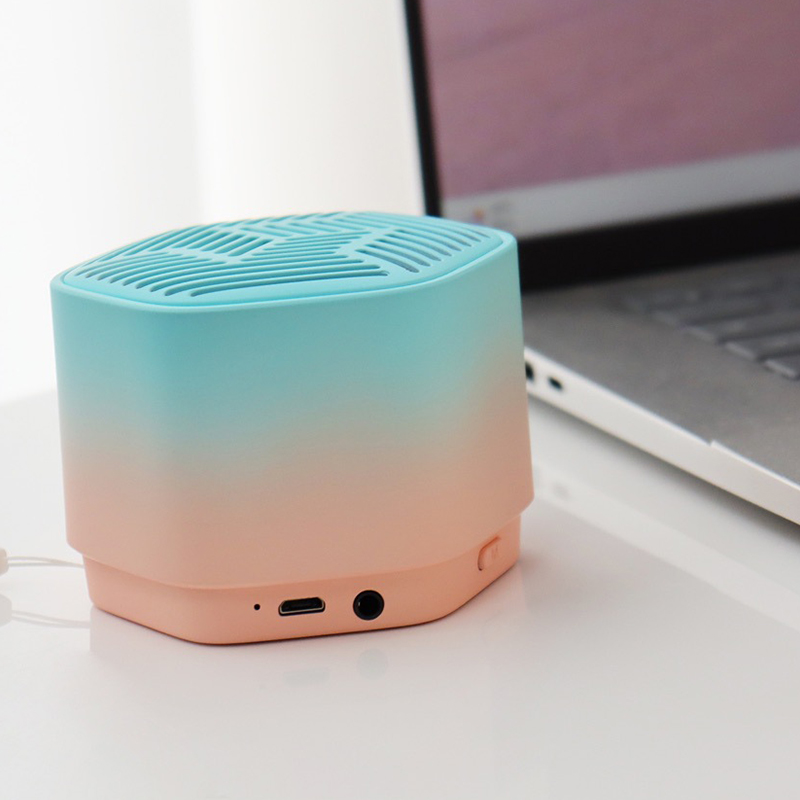 Wheat Straw Speaker