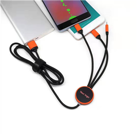 4-in-1 Cable